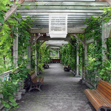 Load image into Gallery viewer, Bird Parrot Cage