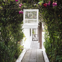 Load image into Gallery viewer, Bird Parrot Cage