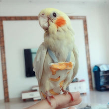Load image into Gallery viewer, Parrot Diaper