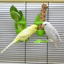Load image into Gallery viewer, Bird Cuttlefishbone/Vegetable/Fruits Holder