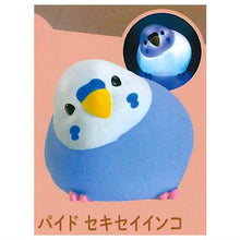 Load image into Gallery viewer, 45614147207404