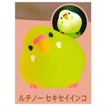 Load image into Gallery viewer, 45614147240172