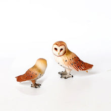 Load image into Gallery viewer, Bird Figures Educational Toy