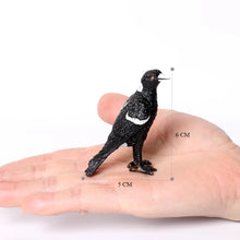 Load image into Gallery viewer, Bird Figures Educational Toy