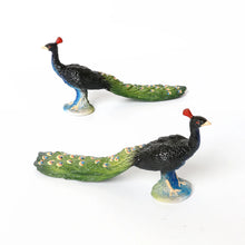 Load image into Gallery viewer, Bird Figures Educational Toy