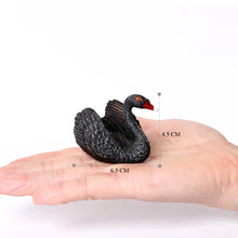 Load image into Gallery viewer, Bird Figures Educational Toy