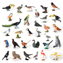 Load image into Gallery viewer, Bird Figures Educational Toy