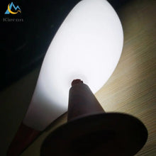Load image into Gallery viewer, Bird Led Table Lamp