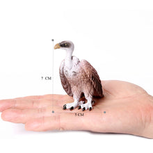 Load image into Gallery viewer, Bird Figures Educational Toy