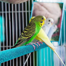 Load image into Gallery viewer, Bird Claw Beak Grinding Perch