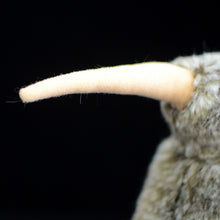 Load image into Gallery viewer, Kiwi bird plush-New Zealand