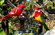 Load image into Gallery viewer, Singing/Talking Parrot toy

