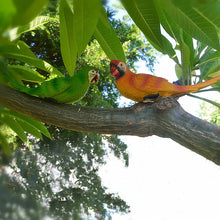 Load image into Gallery viewer, Wall mount Resin Parrot decoration
