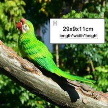 Load image into Gallery viewer, Wall mount Resin Parrot decoration
