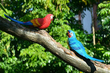 Load image into Gallery viewer, Wall mount Resin Parrot decoration
