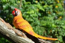Load image into Gallery viewer, Wall mount Resin Parrot decoration
