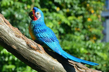 Load image into Gallery viewer, Wall mount Resin Parrot decoration
