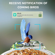 Load image into Gallery viewer, Solar Bird Feeder with Camera
