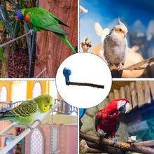 Load image into Gallery viewer, Parrot Perch Stand
