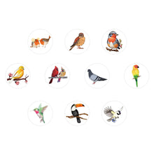 Load image into Gallery viewer, 500pcs Birds Animals Stickers /Masking Tape
