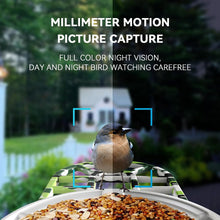 Load image into Gallery viewer, Solar Bird Feeder with Camera

