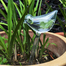 Load image into Gallery viewer, Bird Shape Automatic Plant Watering Bulbs
