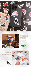 Load image into Gallery viewer, Kawaii bird stickers
