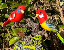 Load image into Gallery viewer, Singing/Talking Parrot toy
