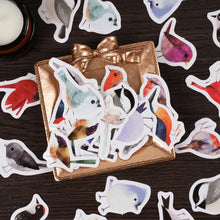 Load image into Gallery viewer, Kawaii bird stickers
