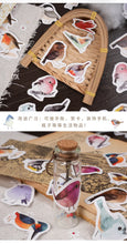 Load image into Gallery viewer, Kawaii bird stickers
