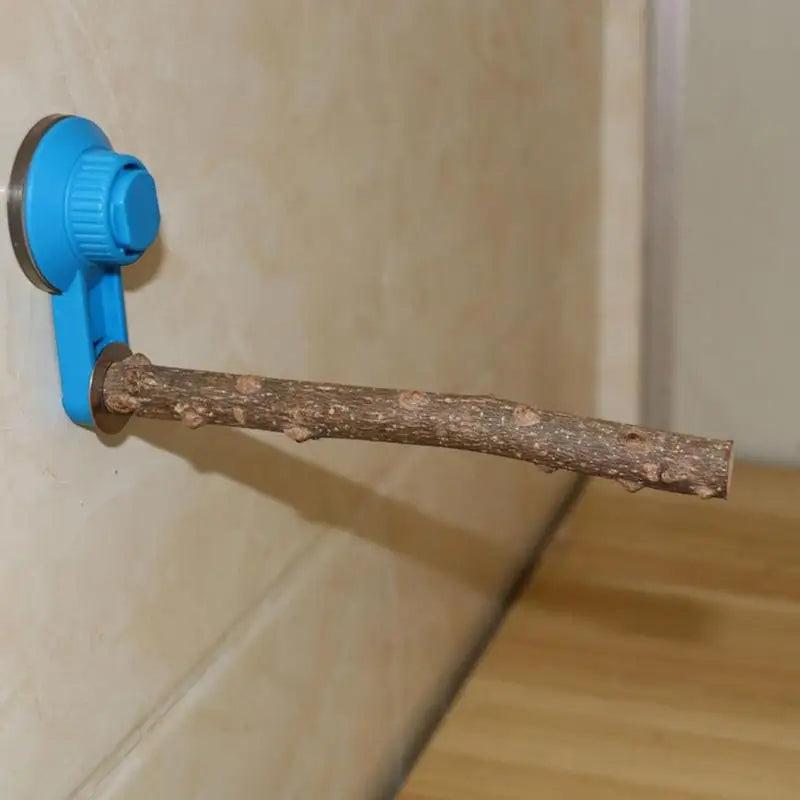 Parrot Perch Stand
