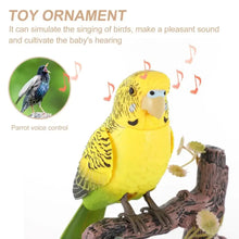 Load image into Gallery viewer, Singing/Talking Parrot toy
