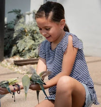Load image into Gallery viewer, Singing/Talking Parrot toy
