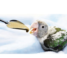 Load image into Gallery viewer, 5pcs Portable baby bird feeding  spoon
