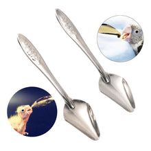 Load image into Gallery viewer, 5pcs Portable baby bird feeding  spoon
