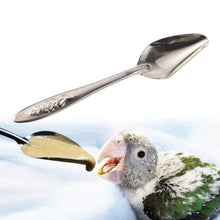 Load image into Gallery viewer, 5pcs Portable baby bird feeding  spoon

