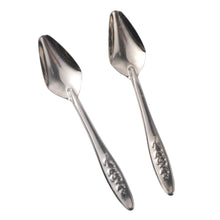 Load image into Gallery viewer, 5pcs Portable baby bird feeding  spoon
