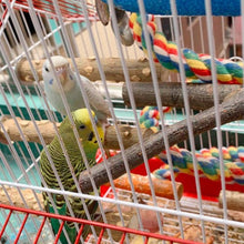 Load image into Gallery viewer, Bird Parrot Perch Stand
