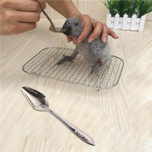 Load image into Gallery viewer, 5pcs Portable baby bird feeding  spoon
