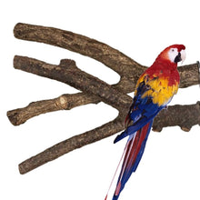 Load image into Gallery viewer, Bird Parrot Perch Stand
