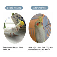 Load image into Gallery viewer, Collar Bird Cone Parrot Neck Recovery Anti Bite
