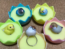 Load image into Gallery viewer, BANDAI Parrot Rings
