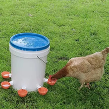 Load image into Gallery viewer, Poultry / Birds Automatic Water Dispenser
