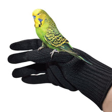 Load image into Gallery viewer, Anti-Bite Parrot Bird Gloves
