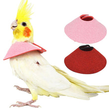 Load image into Gallery viewer, Collar Bird Cone Parrot Neck Recovery Anti Bite
