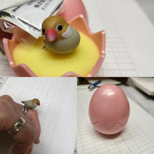 Load image into Gallery viewer, BANDAI Parrot Rings
