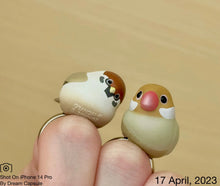 Load image into Gallery viewer, BANDAI Parrot Rings
