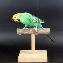 Load image into Gallery viewer, Natural Wood  T-shape Bird Stand/Branch
